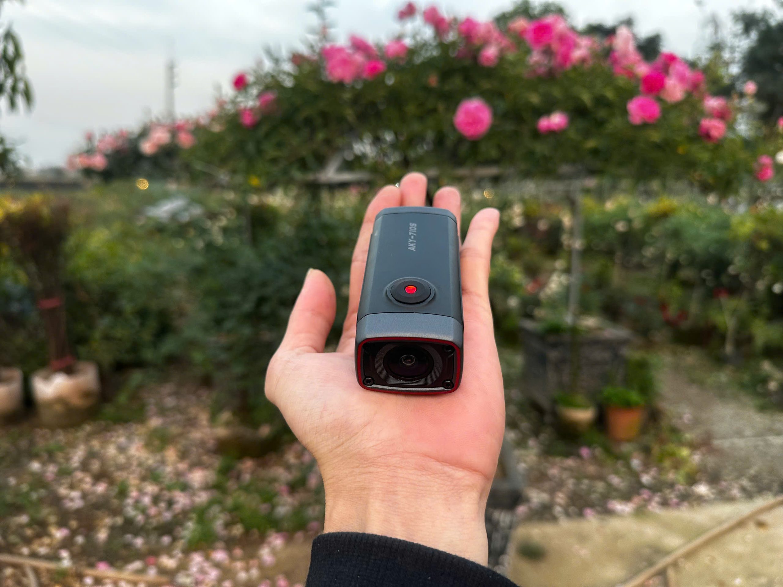 z6320312333746 8e99fdde49f854f5277c2961023f52db scaled